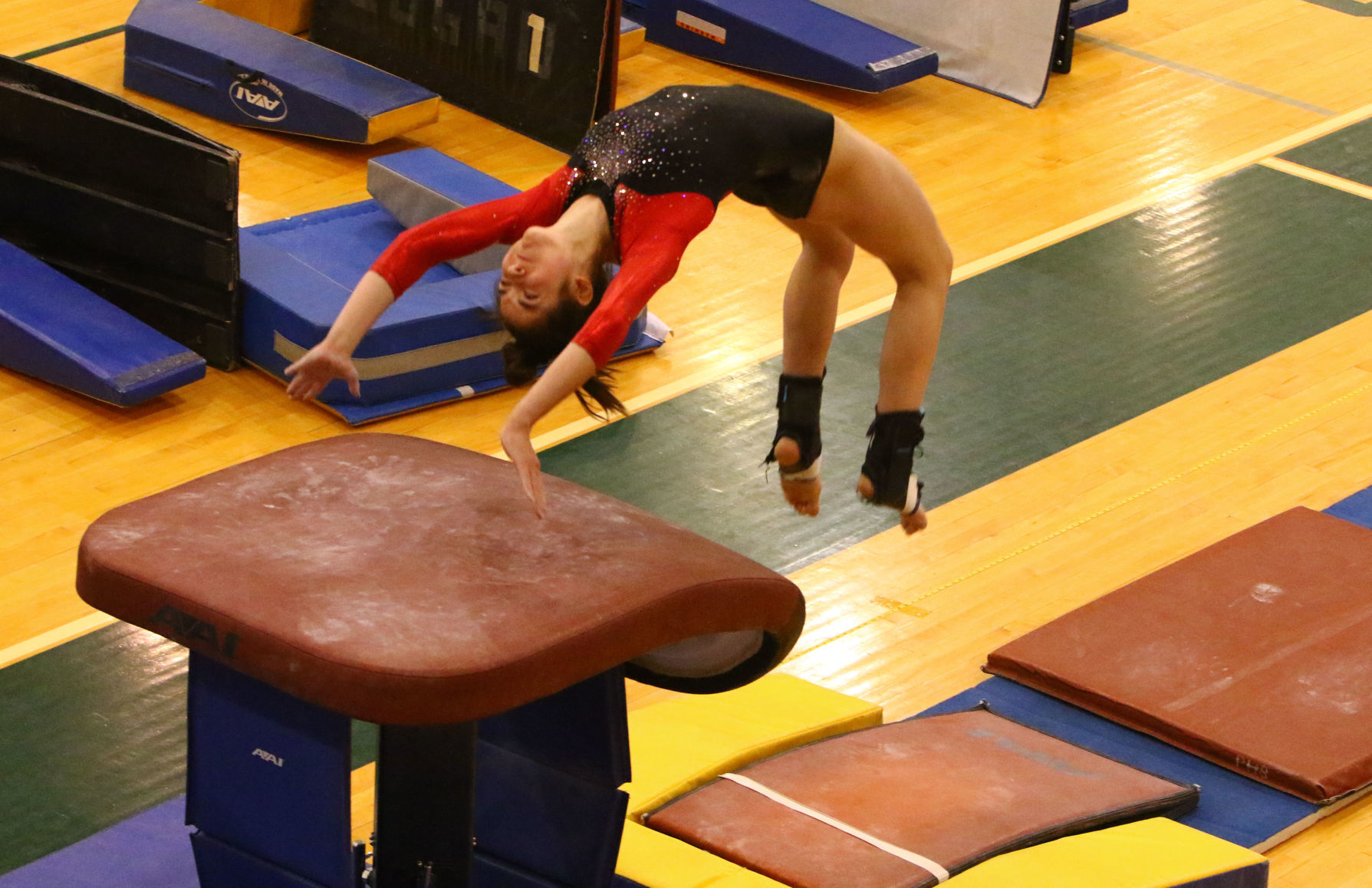 Gymnastics Regional